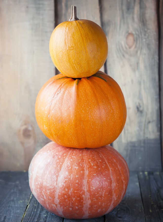 Pumpkin Stack Pumpkin Stack