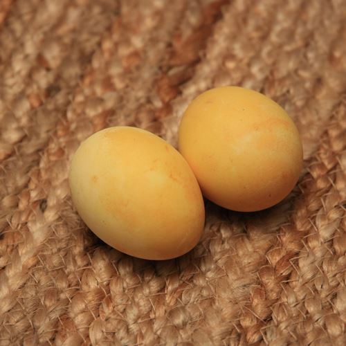 Naturally Dyed Easter Eggs yellow