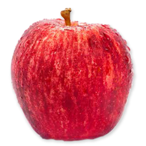 Fuji Apple