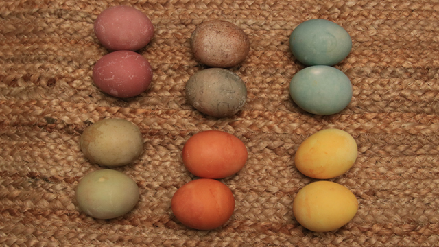 Naturally Dyed Easter Eggs