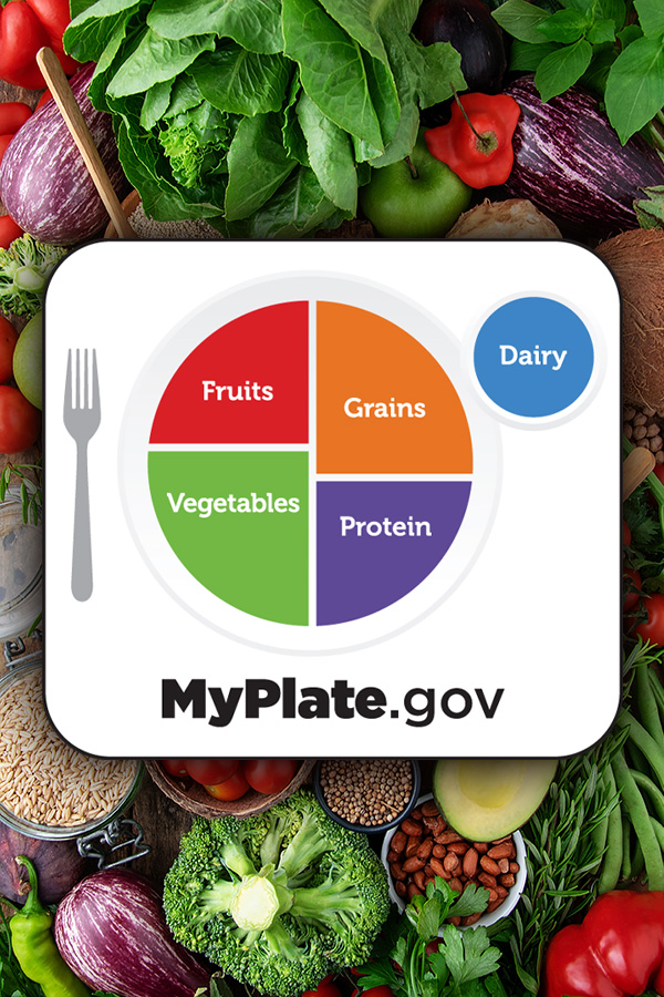 A plate showing the nutritional proportions for your food groups A plate showing the nutritional proportions for your food groups