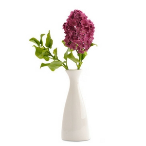 Bottleneck vase