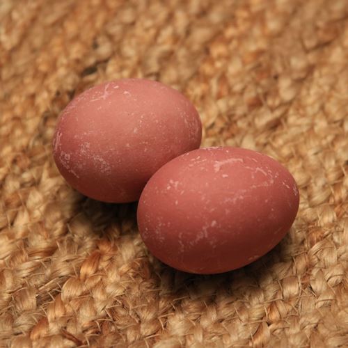 Naturally Dyed Easter Eggs RedAC