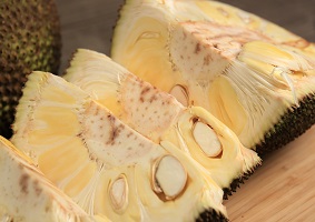 Jackfruit 101 