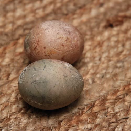 Naturally Dyed Easter Eggs Green and Grey