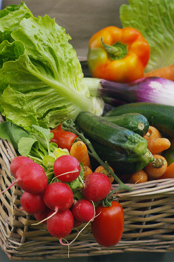 Fresh Veggies in a Basket Fresh Veggies in a Basket