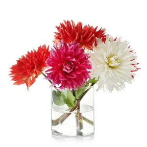 short and stout vase