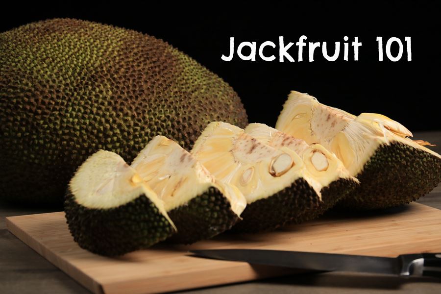 Jackfruit 101 Jackfruit 101