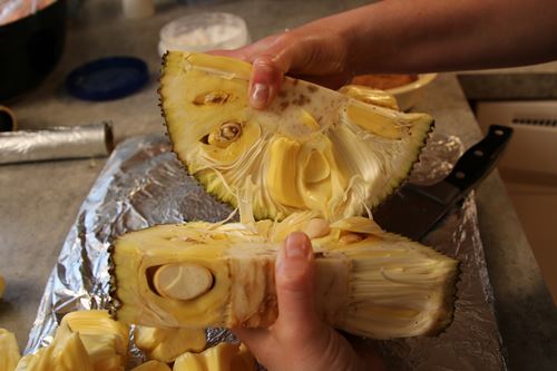 Jackfruit