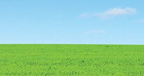 Recipes for Outdoor Play