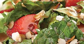 Fresh Strawberry Salad